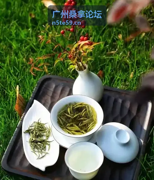 广州桑拿论坛真实体验分享区